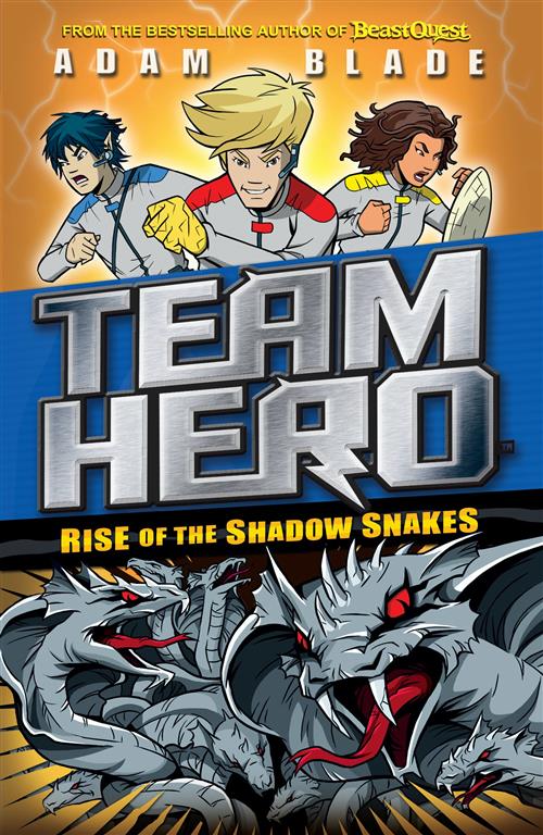 Team Hero Rise of the Shadow S | ISBN 9781408343654 | Kalimat Store
