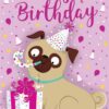 the-pug-who-wanted-a-birthday