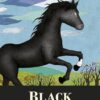 black-beauty