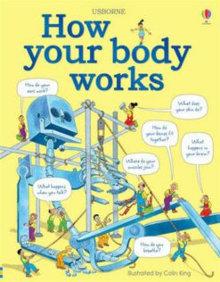 how-your-body-works