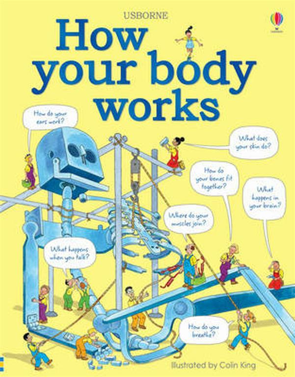 how-your-body-works