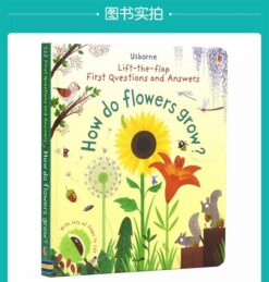 how-do-flowers-grow