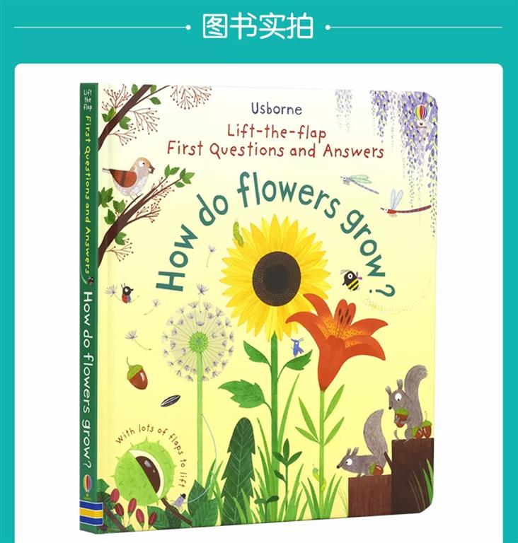 how-do-flowers-grow