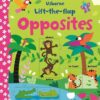 lift-the-flap-opposites