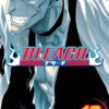 bleach-13