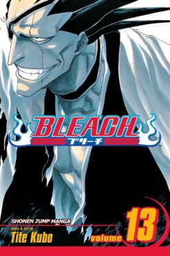 bleach-13