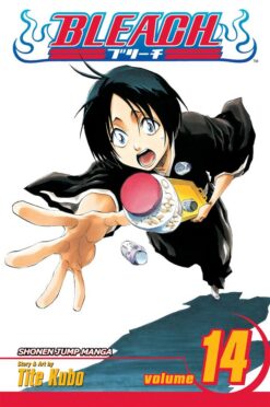 bleach-14