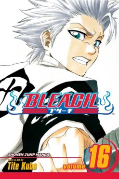 bleach-16