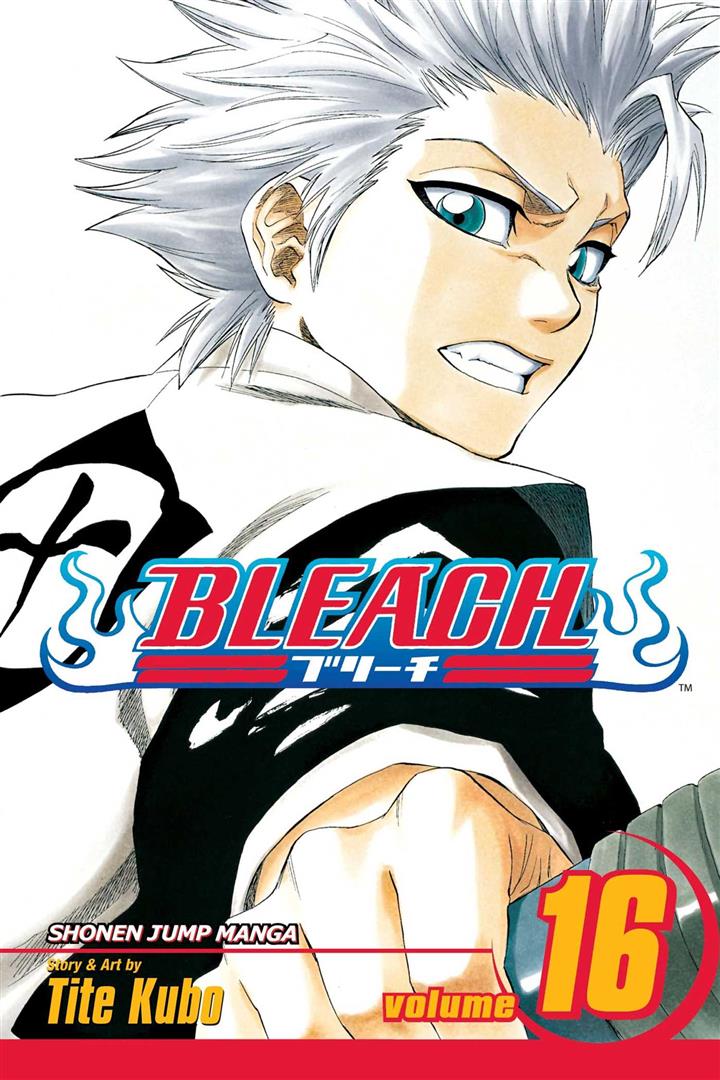 bleach-16