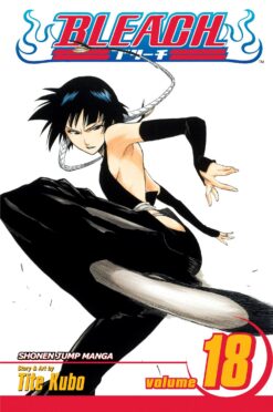 bleach-18