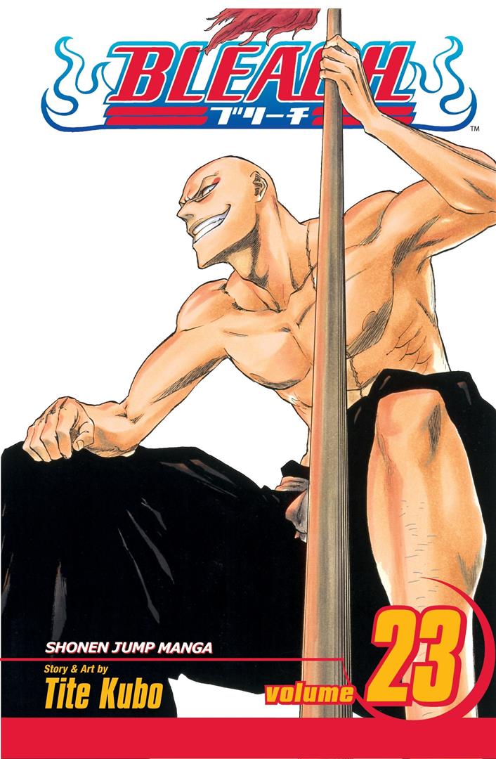 bleach-23