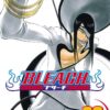 bleach-33