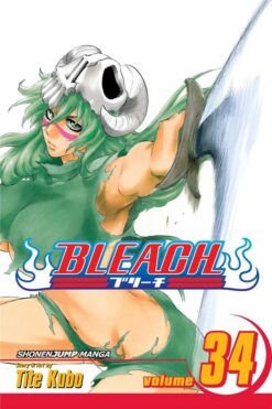 bleach-34