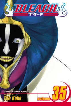 bleach-35