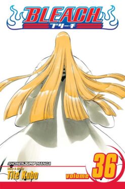 bleach-36