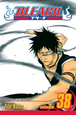 bleach-38