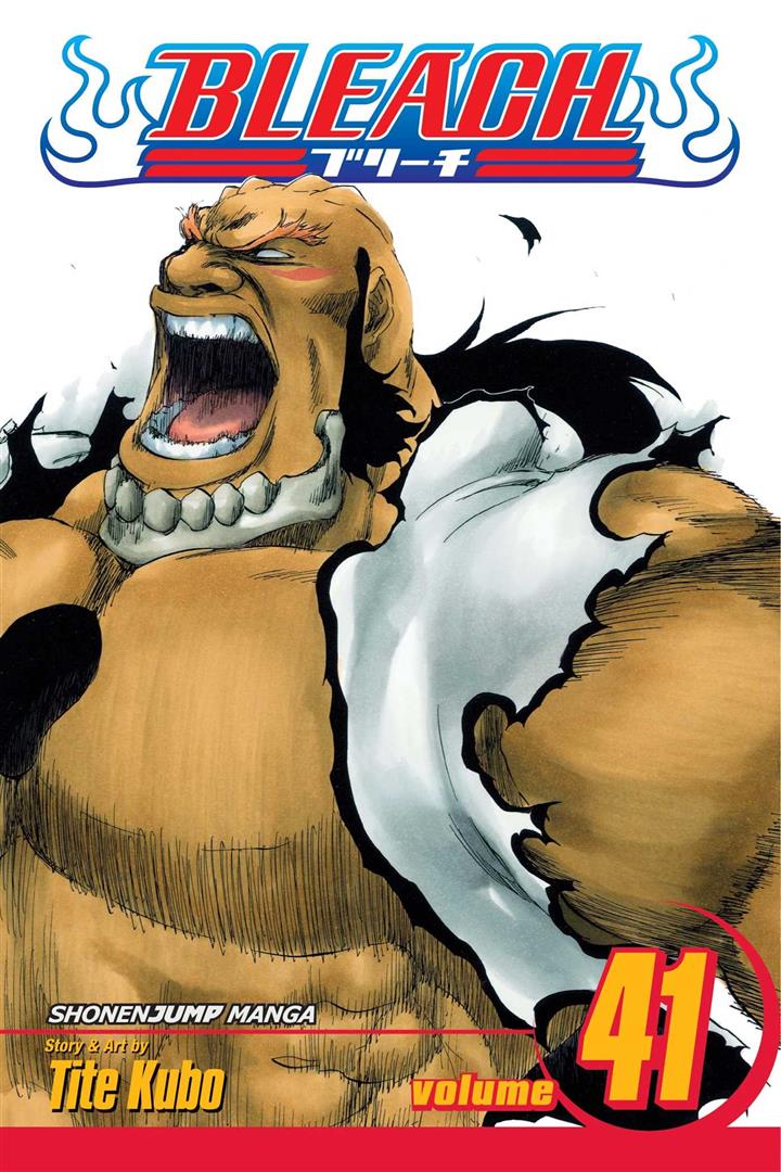 bleach-41