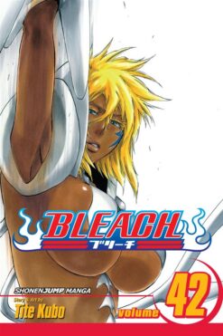 bleach-42