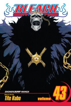 bleach-43