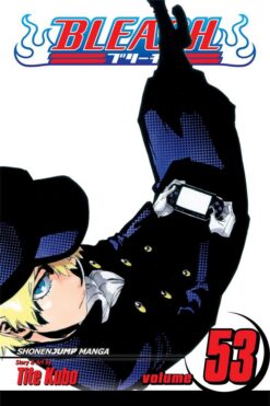 bleach-53