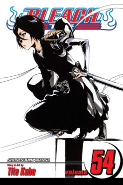 bleach-54