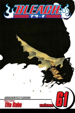bleach-61