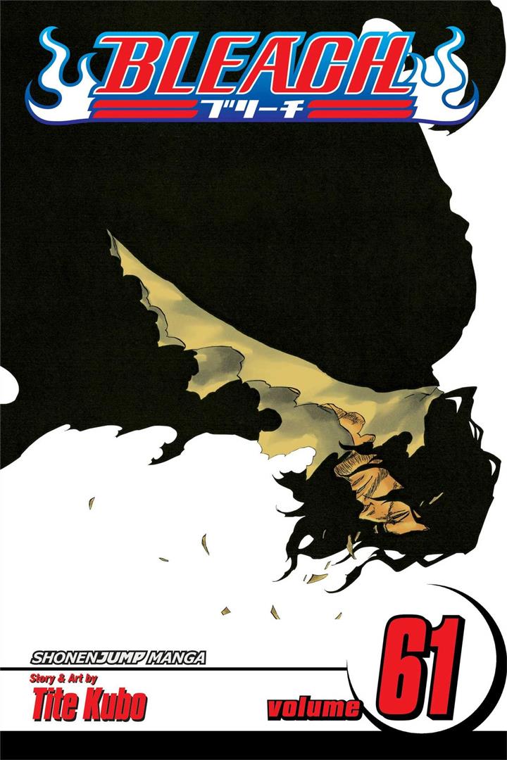 bleach-61