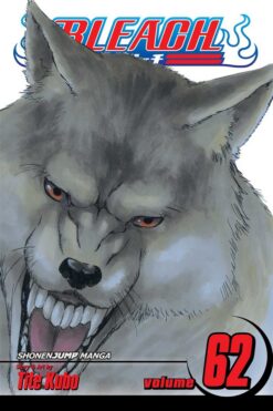 bleach-62