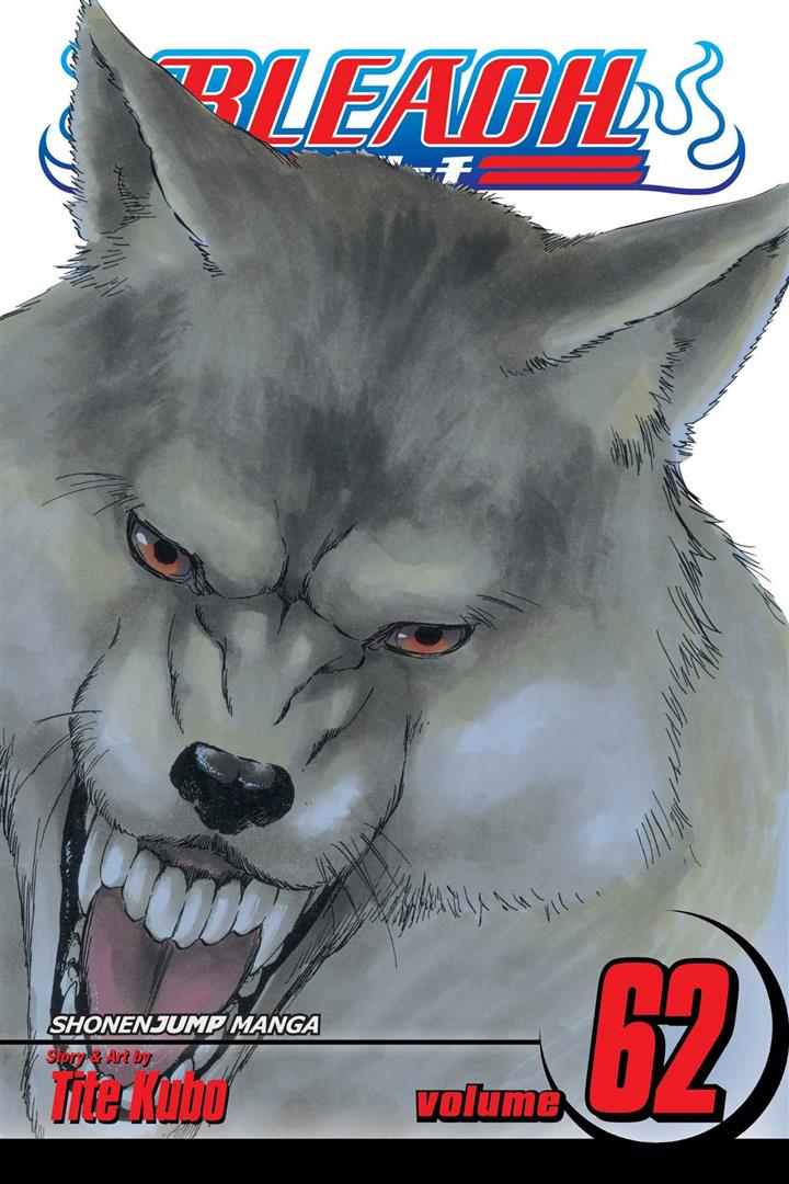 bleach-62