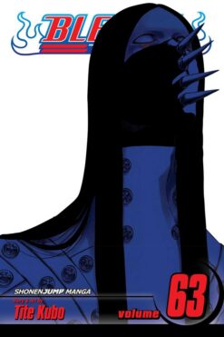 bleach-63