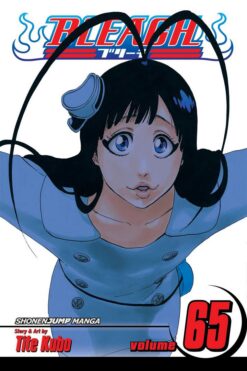 bleach-65