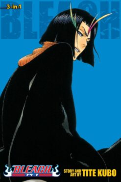 bleach-13-2