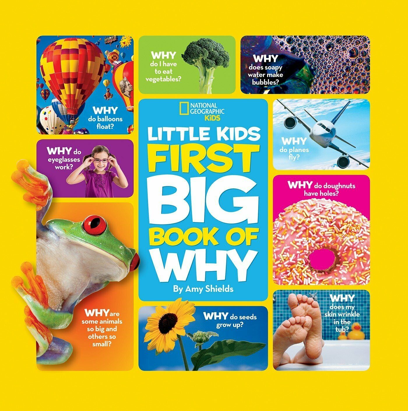 ng-little-kids-first-big-book-of-why