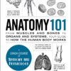 anatomy-101-from-muscles-and-bones-to-organs-and-systems-y