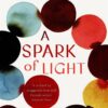 spark-of-light-2