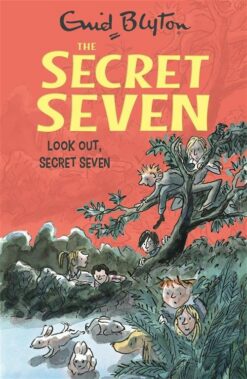 look-out-secret-seven