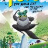 toto-the-ninja-cat-5-and-the-legend-of-the-wildcat