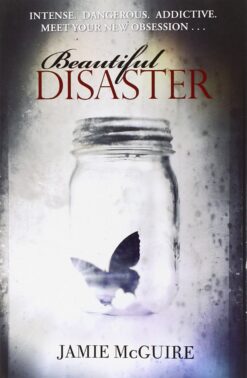 beautiful-disaster