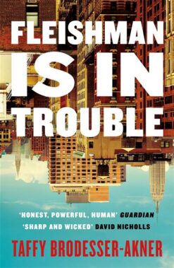 fleishman-is-in-trouble