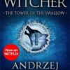 tower-of-the-swallow