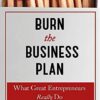 burn-the-business-plan