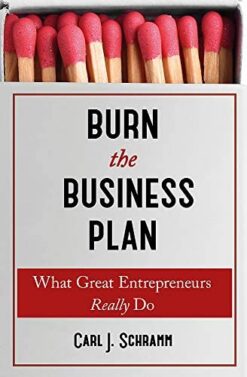 burn-the-business-plan