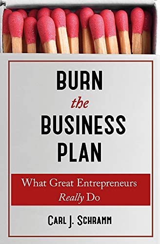 burn-the-business-plan