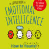 the-little-book-of-emotional-i