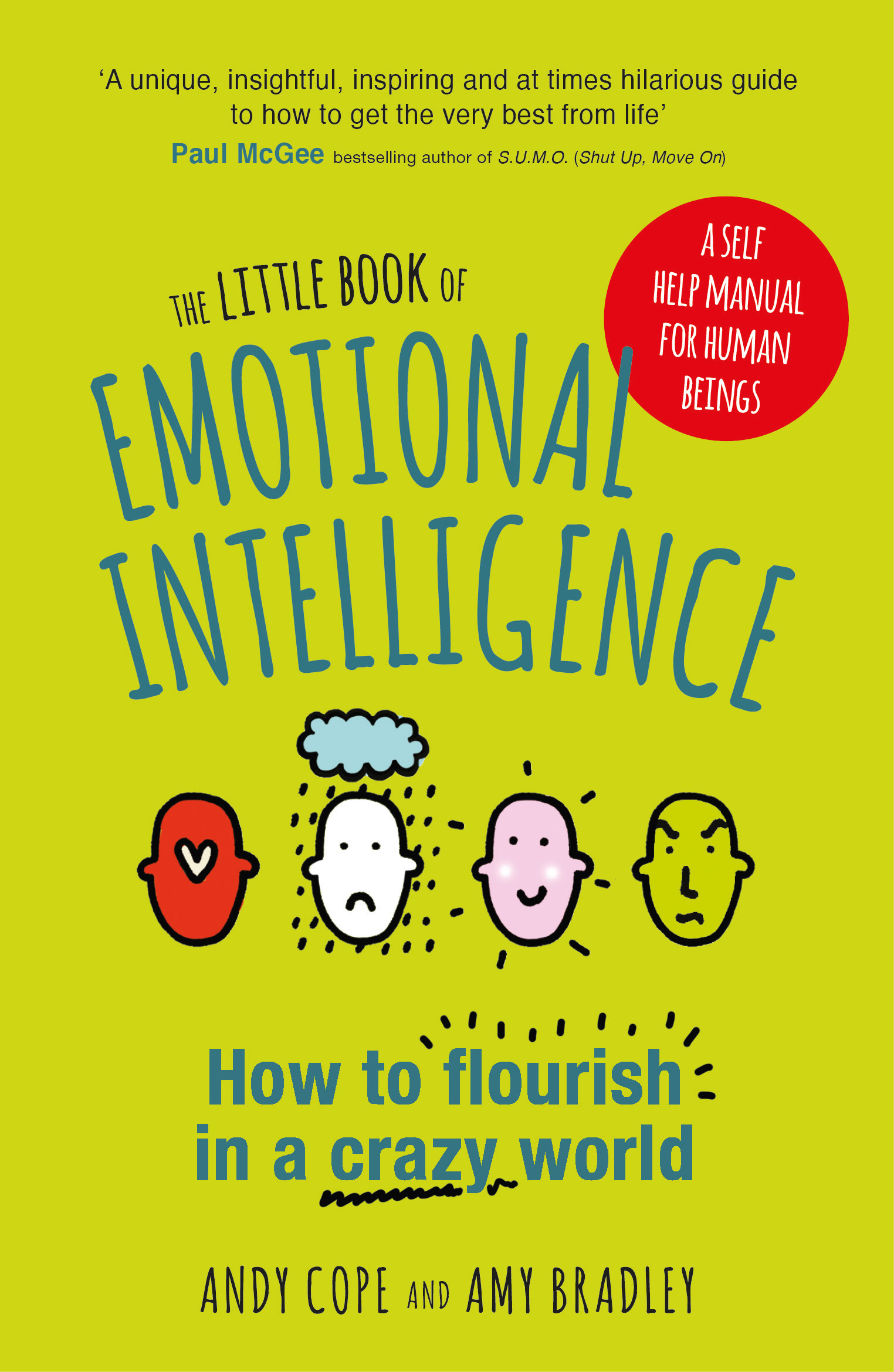 the-little-book-of-emotional-i