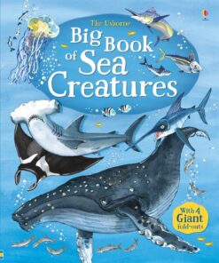 big-book-of-sea-creatures