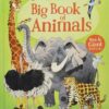 big-book-of-animals