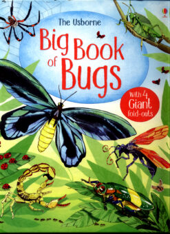 big-book-of-bugs