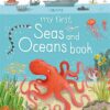 my-first-seas-and-oceans-book