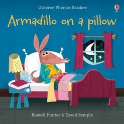 armadillo-on-a-pillow